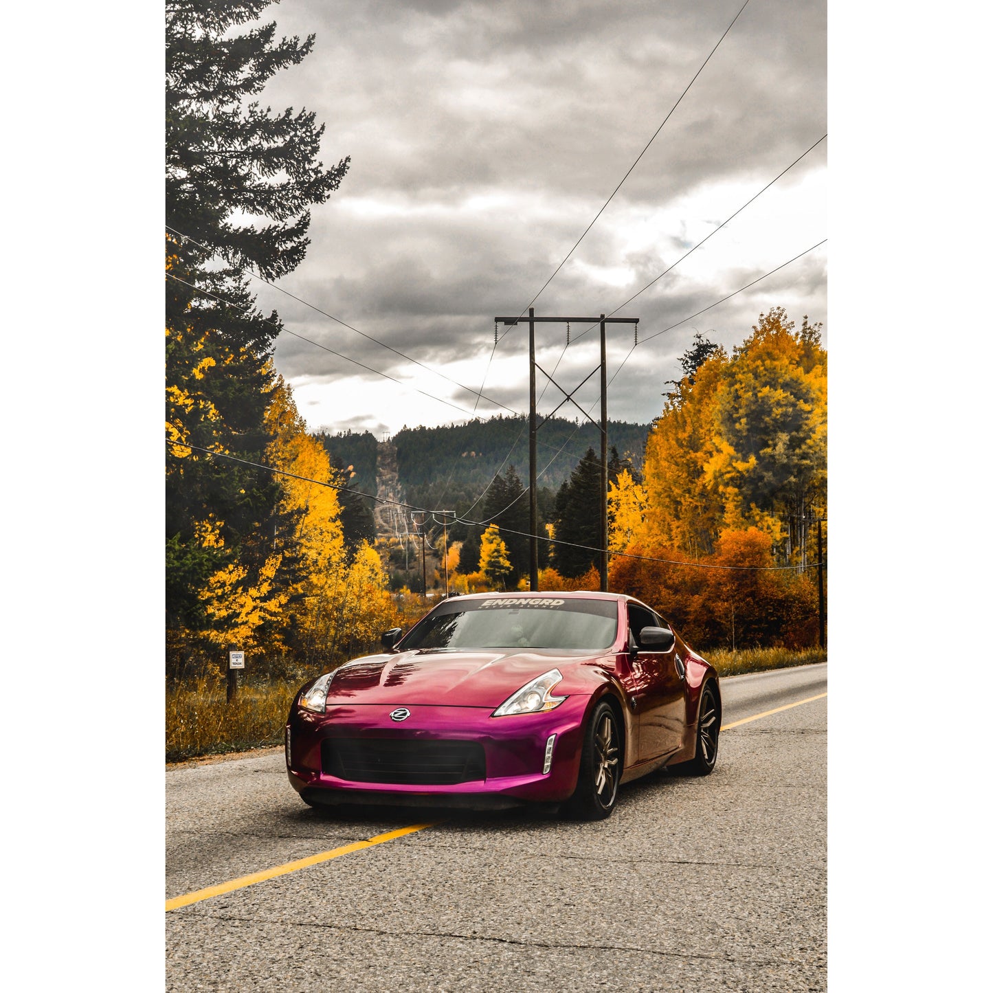 Pearl Purple Glossy