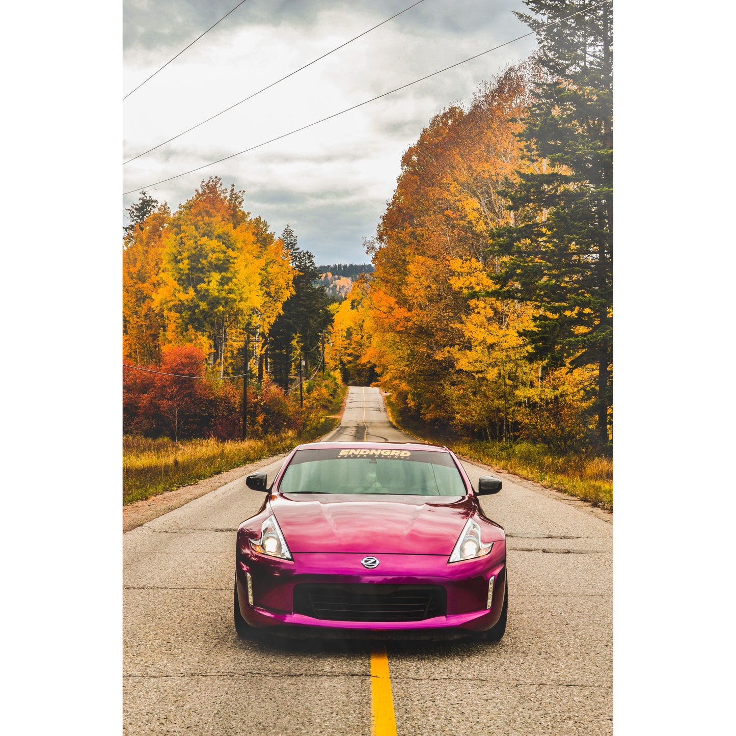 Pearl Purple Glossy