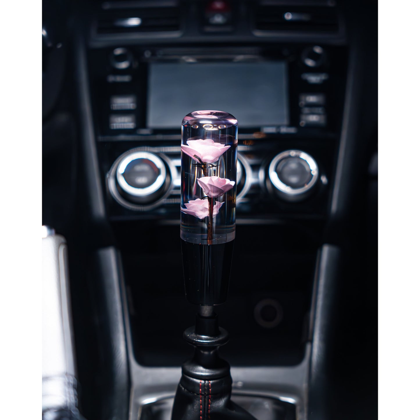 Pink Camellias Roses Shift Knob