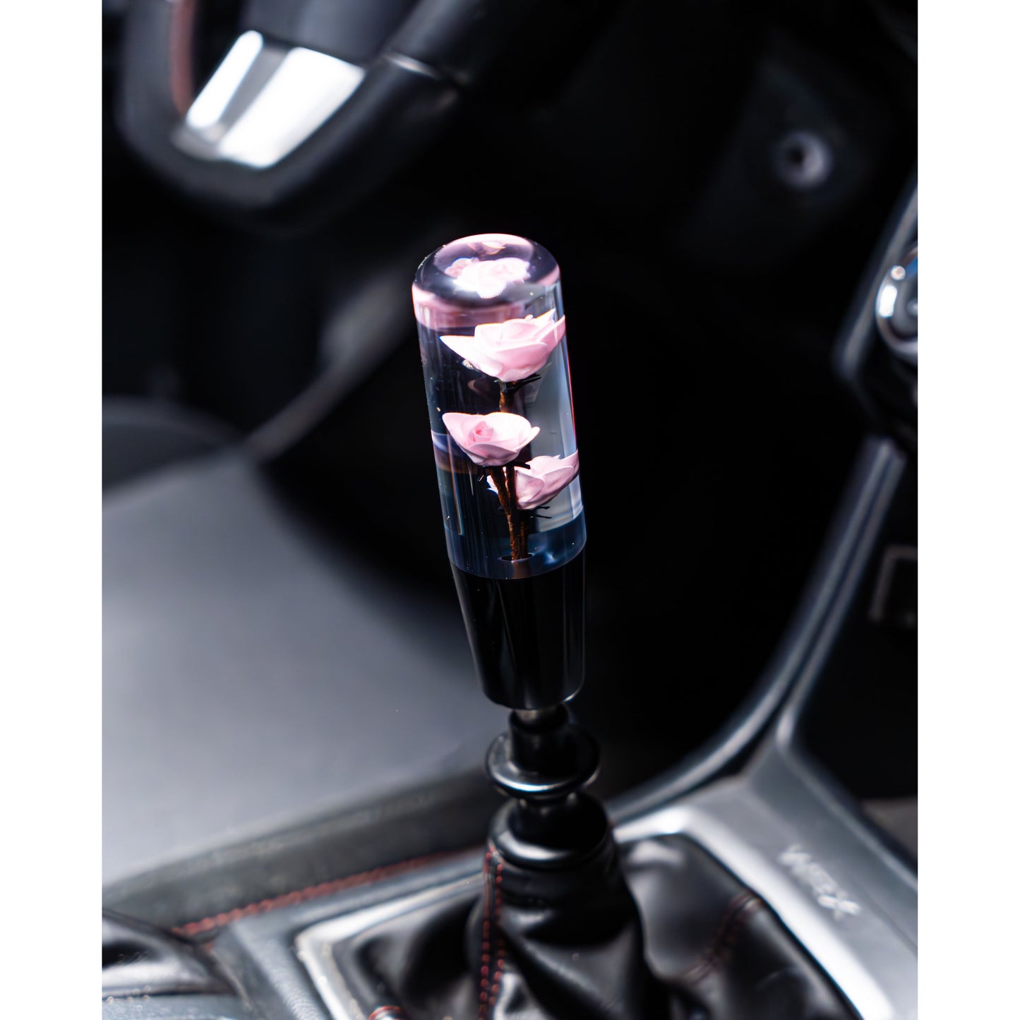 Pink Camellias Roses Shift Knob
