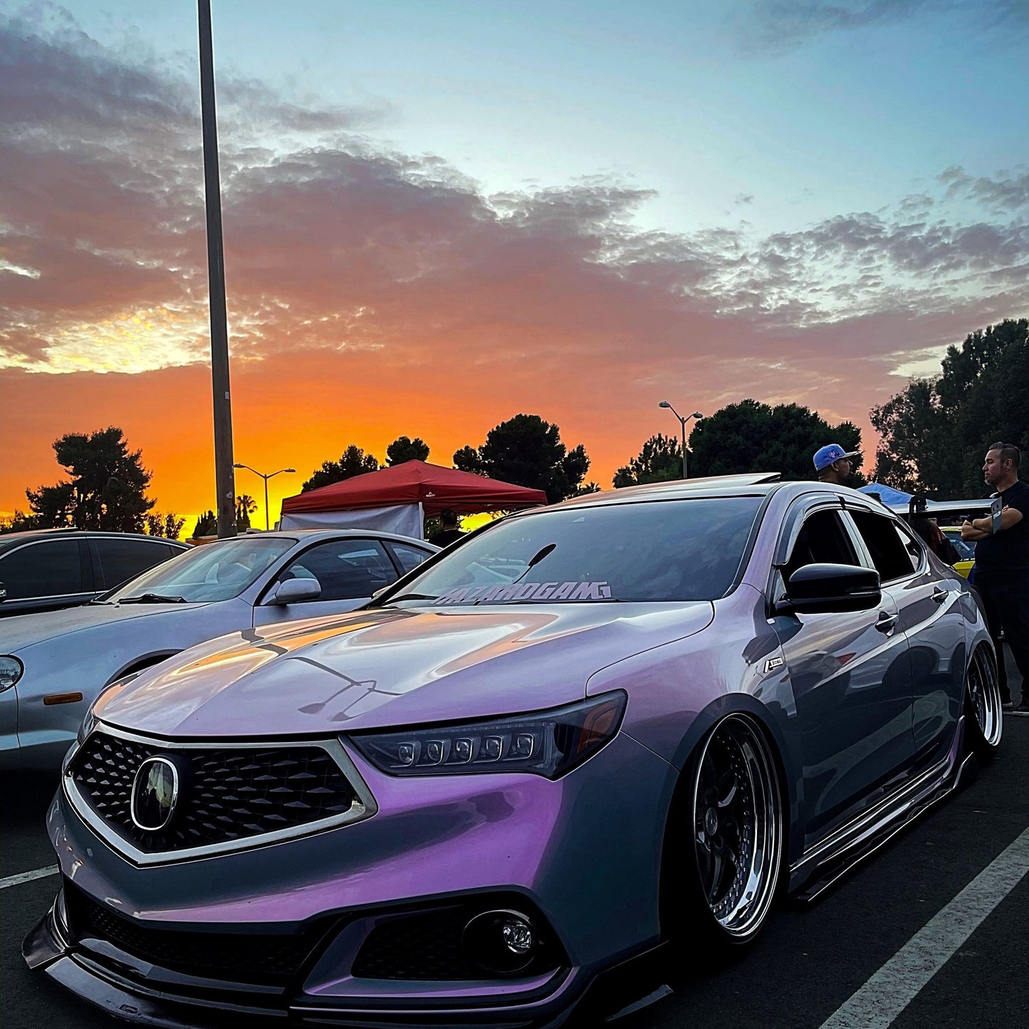 Twin Gray Purple - FULL ROLL 5X59 FEET