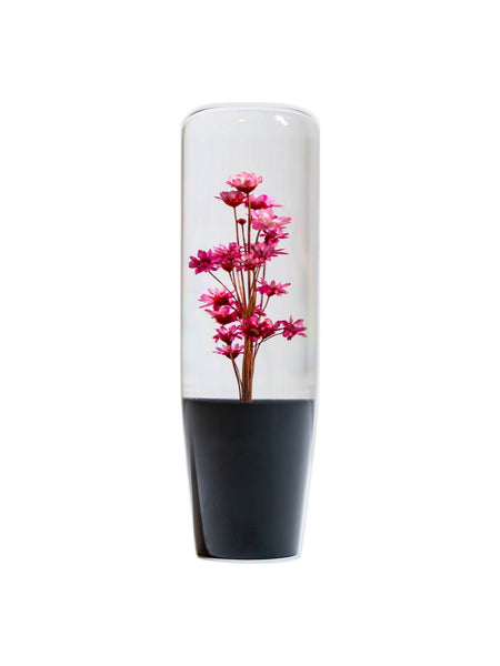 Sakura Clear Shift Knob