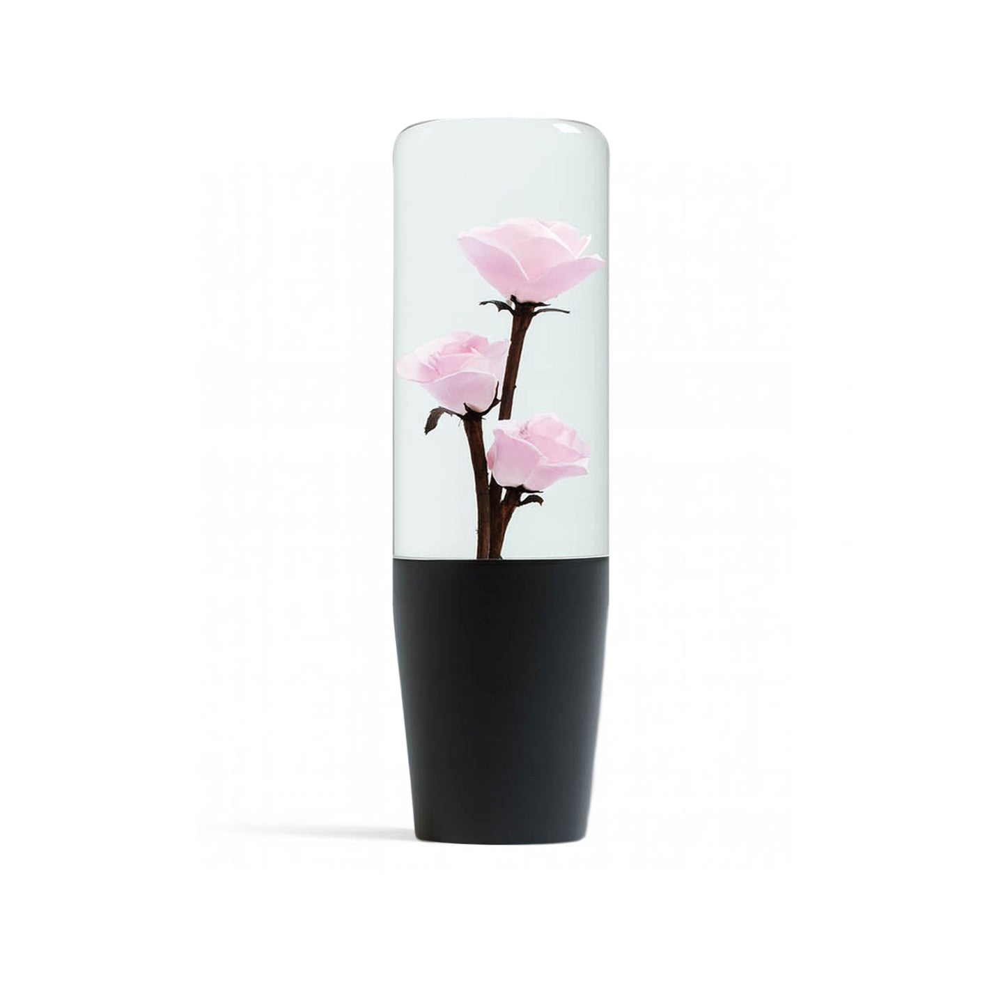 Clear Pink Camellias Roses Flower Shift Knob 6" | Universal Manual Car Shifter