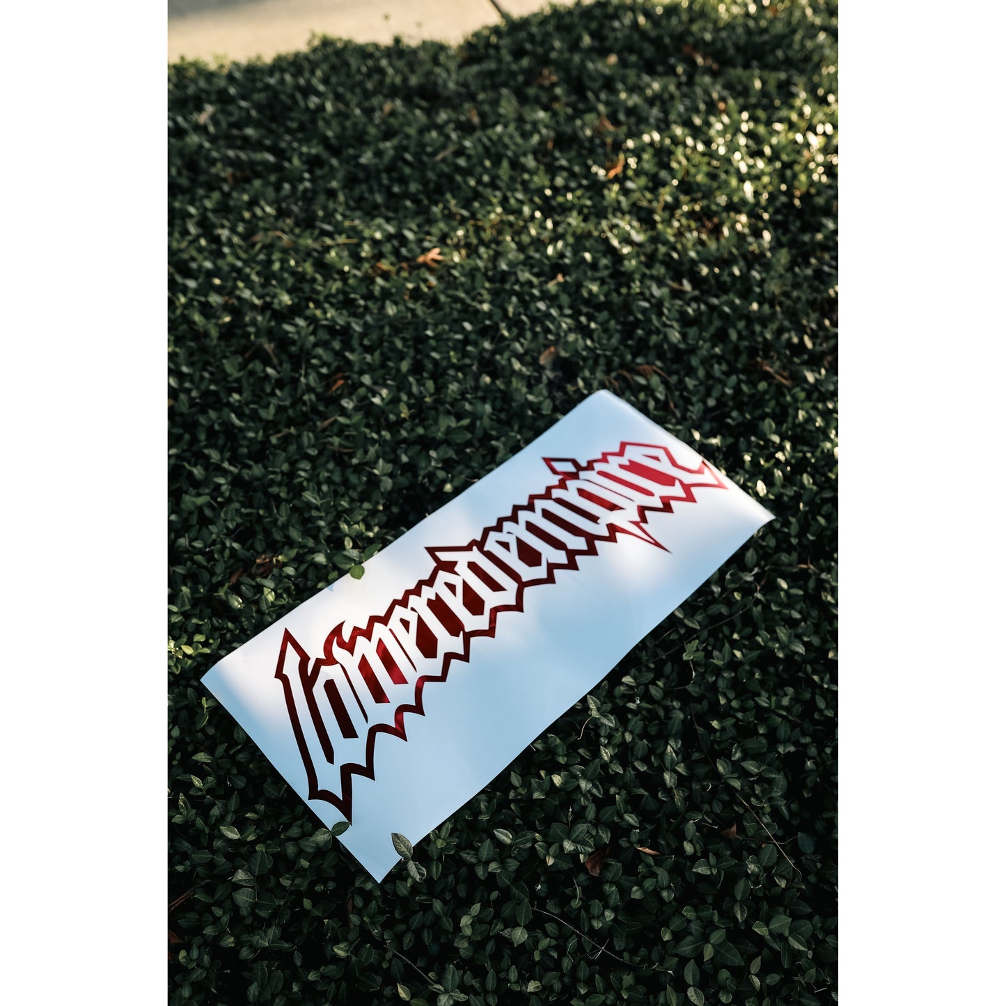 The Protector Banner