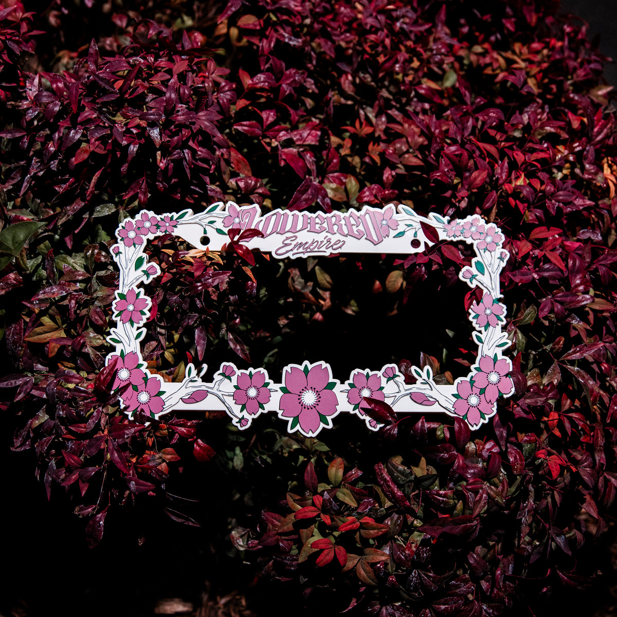 Sakura Flowers License Plate Frame