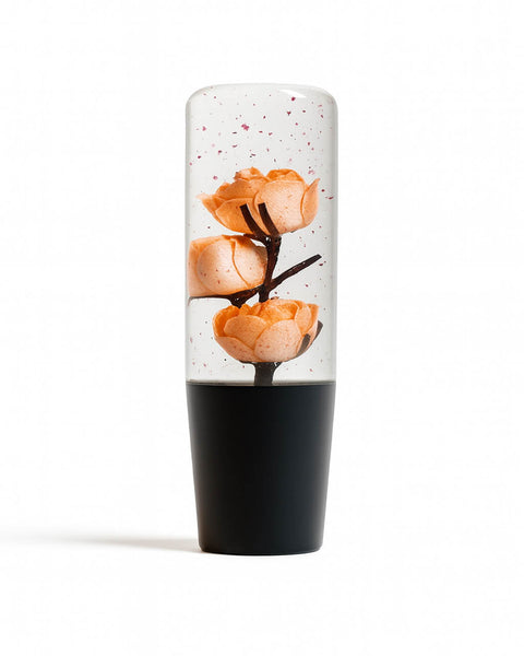 Peach Orange Clear Roses Shift Knob