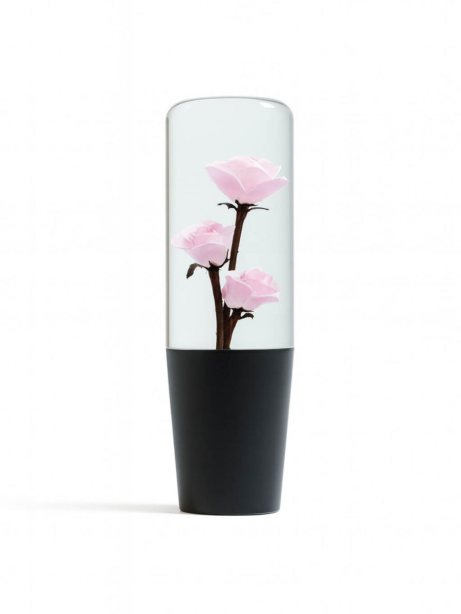 Pink Camellias Roses Shift Knob