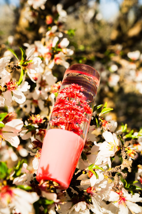 Clear Pink Sakura Flower Shift Knob | Universal Manual Car Shifter