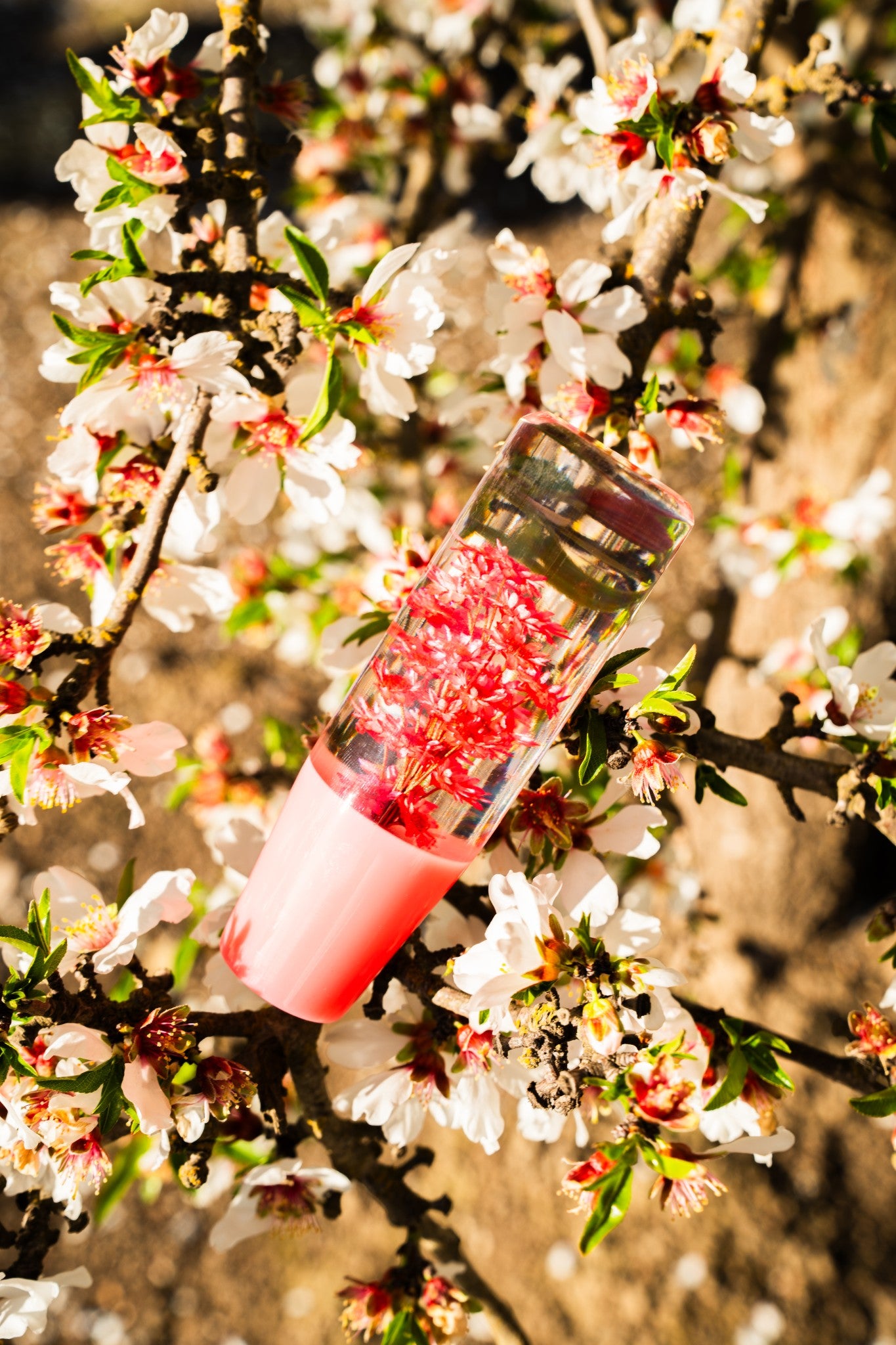Clear Pink Sakura Flower Shift Knob | Universal Manual Car Shifter