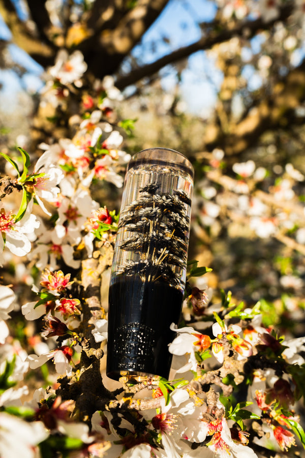 Death Sakura Clear Flower Shift Knob 6” | Universal Manual Car Shifter