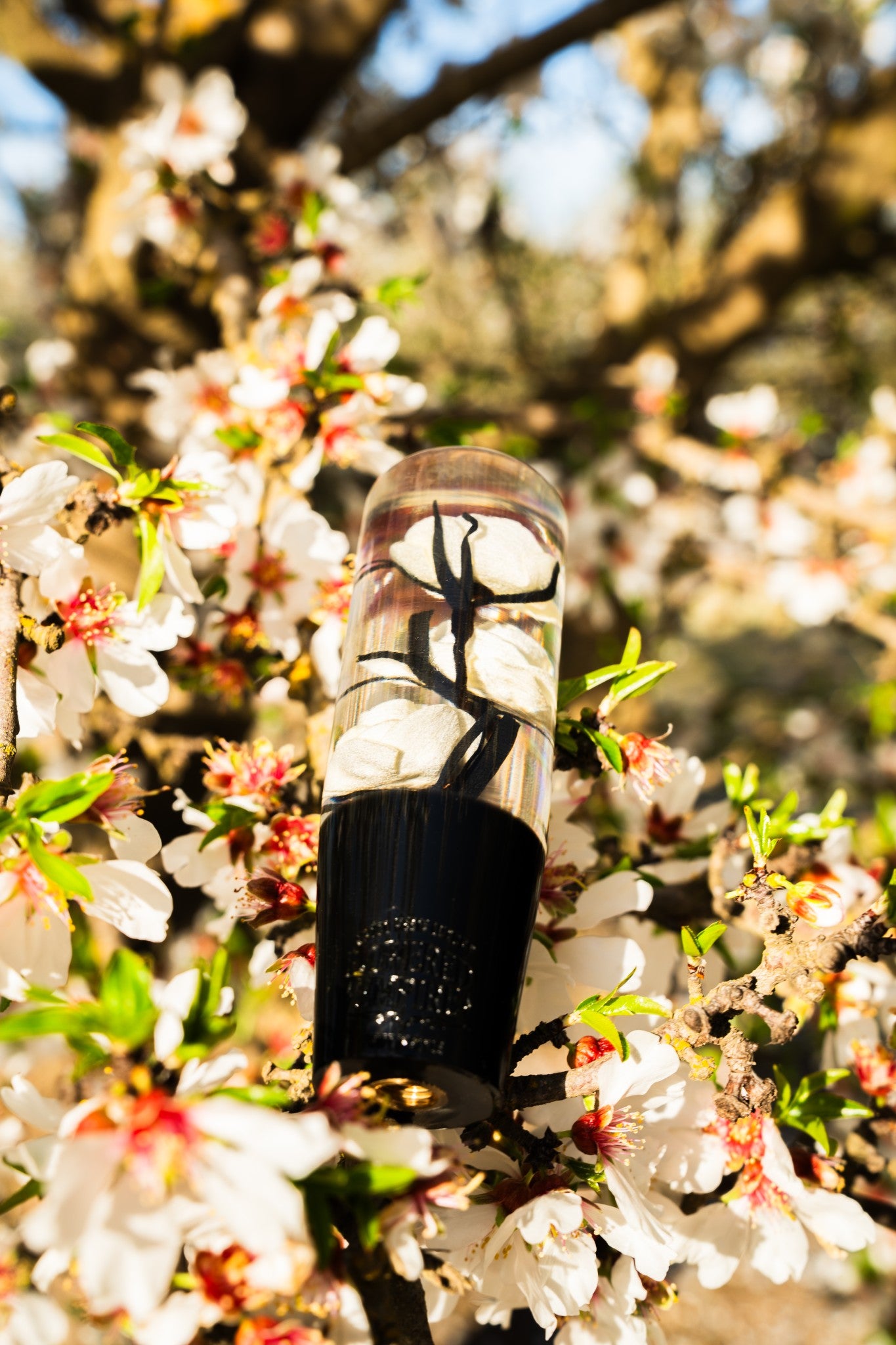 Clear White Roses Flower Shift Knob | Universal Manual Car Shifter