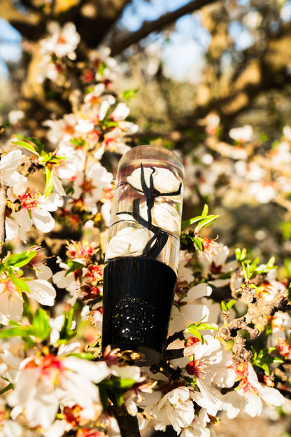 Clear White Roses Flower Shift Knob | Universal Manual Car Shifter