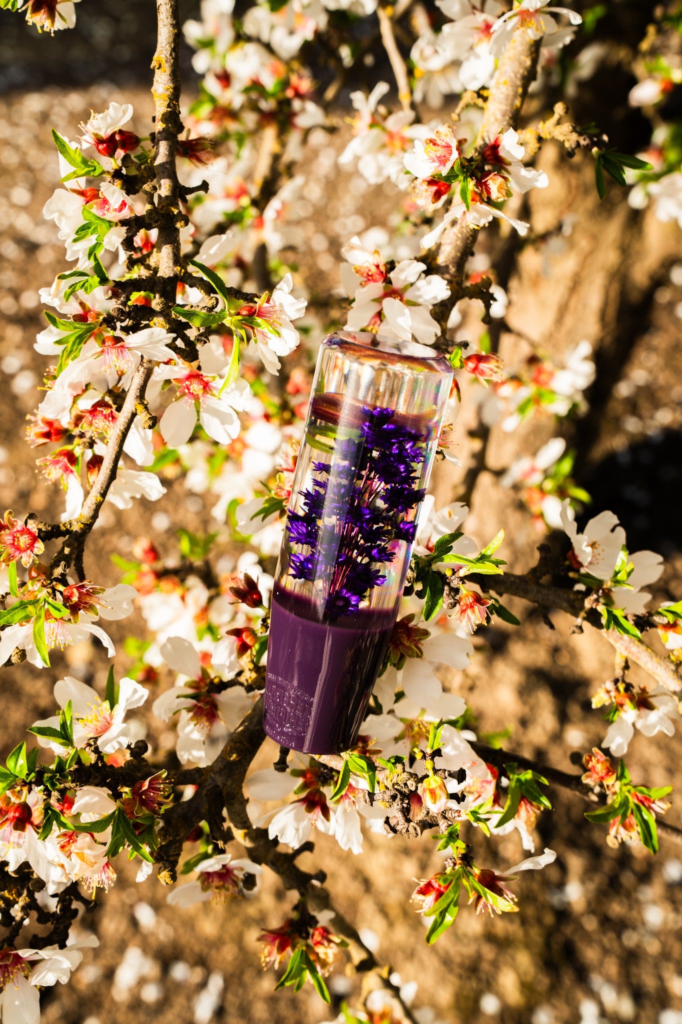 Purple Sakura Clear Flower Shift Knob 6”| Universal Manual Car Shifter