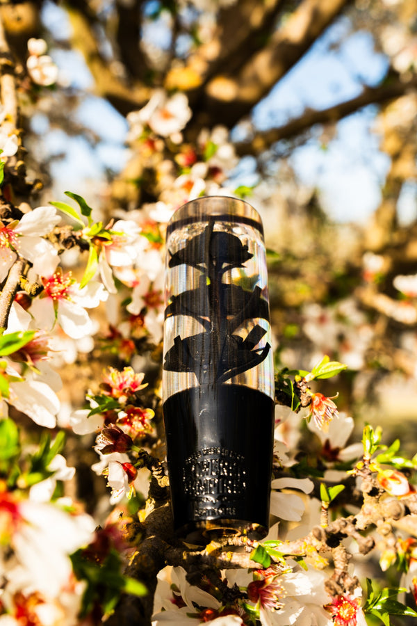 Clear Death Black Roses Flower Shift Knob | Universal Manual Car Shifter