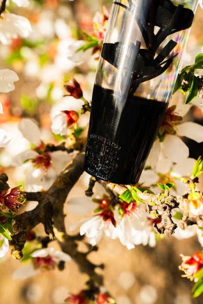 Clear Death Black Roses Flower Shift Knob | Universal Manual Car Shifter