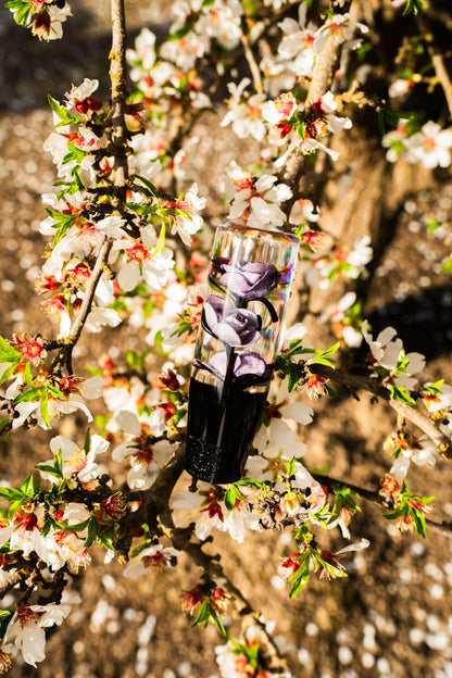Clear Deadly Purple Roses Flower Shift Knob | Universal Manual Car Shifter
