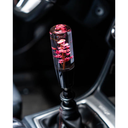 Sakura Clear Shift Knob