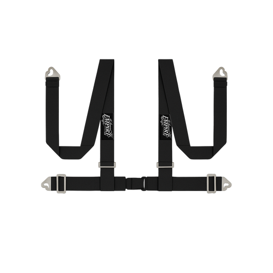 Black Lowered Empire Flamed Racing Harness Belt