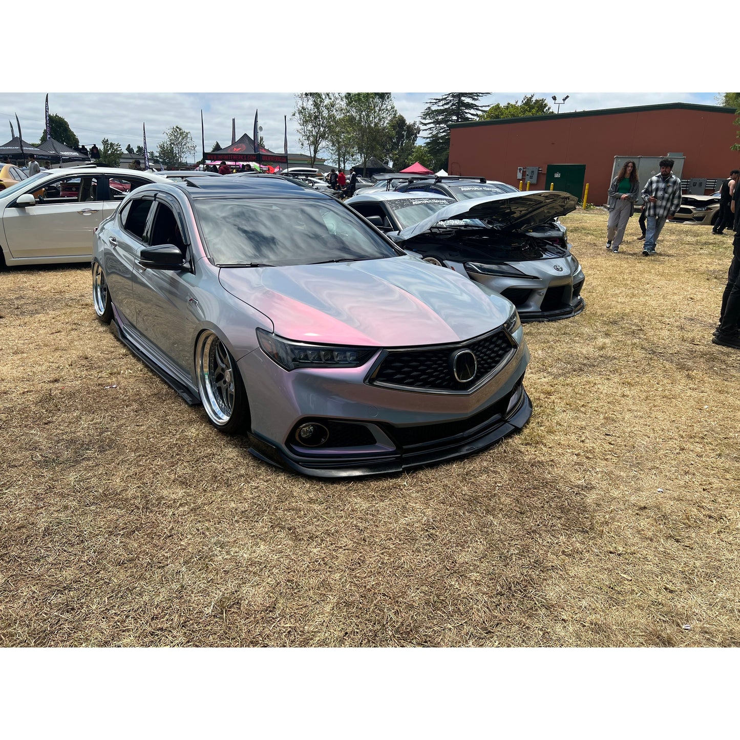Twin Color Grey
