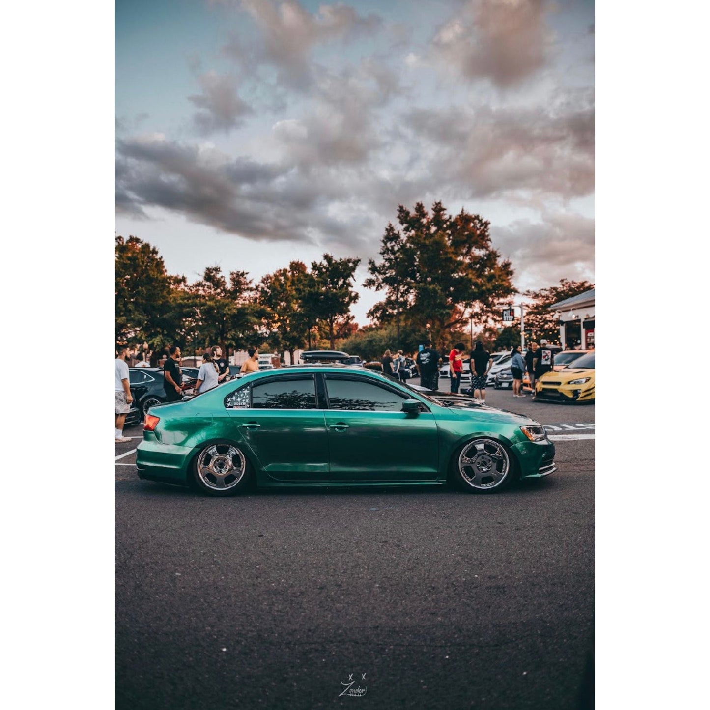 Isle Green - FULL ROLL 5X59 FEET