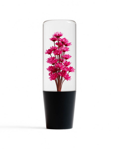 Sakura Clear Shift Knob