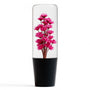 Sakura Clear Shift Knob