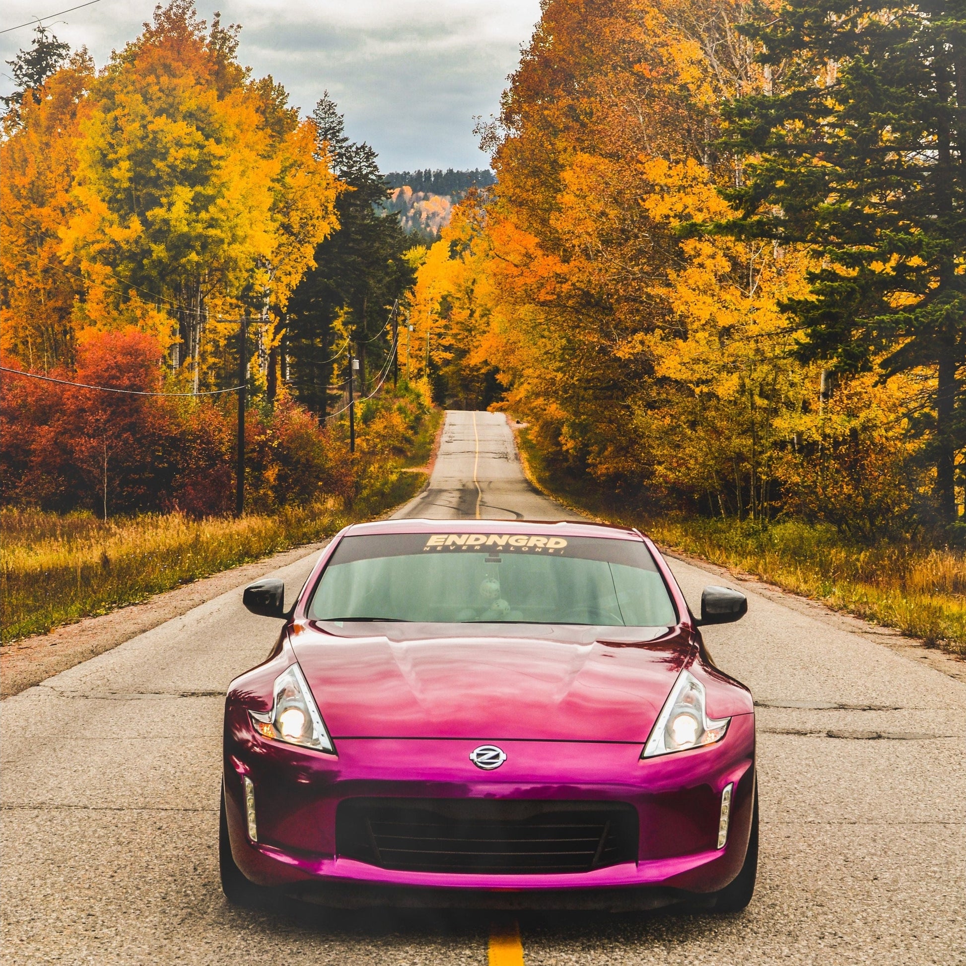 Pearl Purple Glossy - FULL ROLL 5X59 FEET