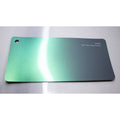 Twin Grey Green - FULL ROLL 5X59 FEET